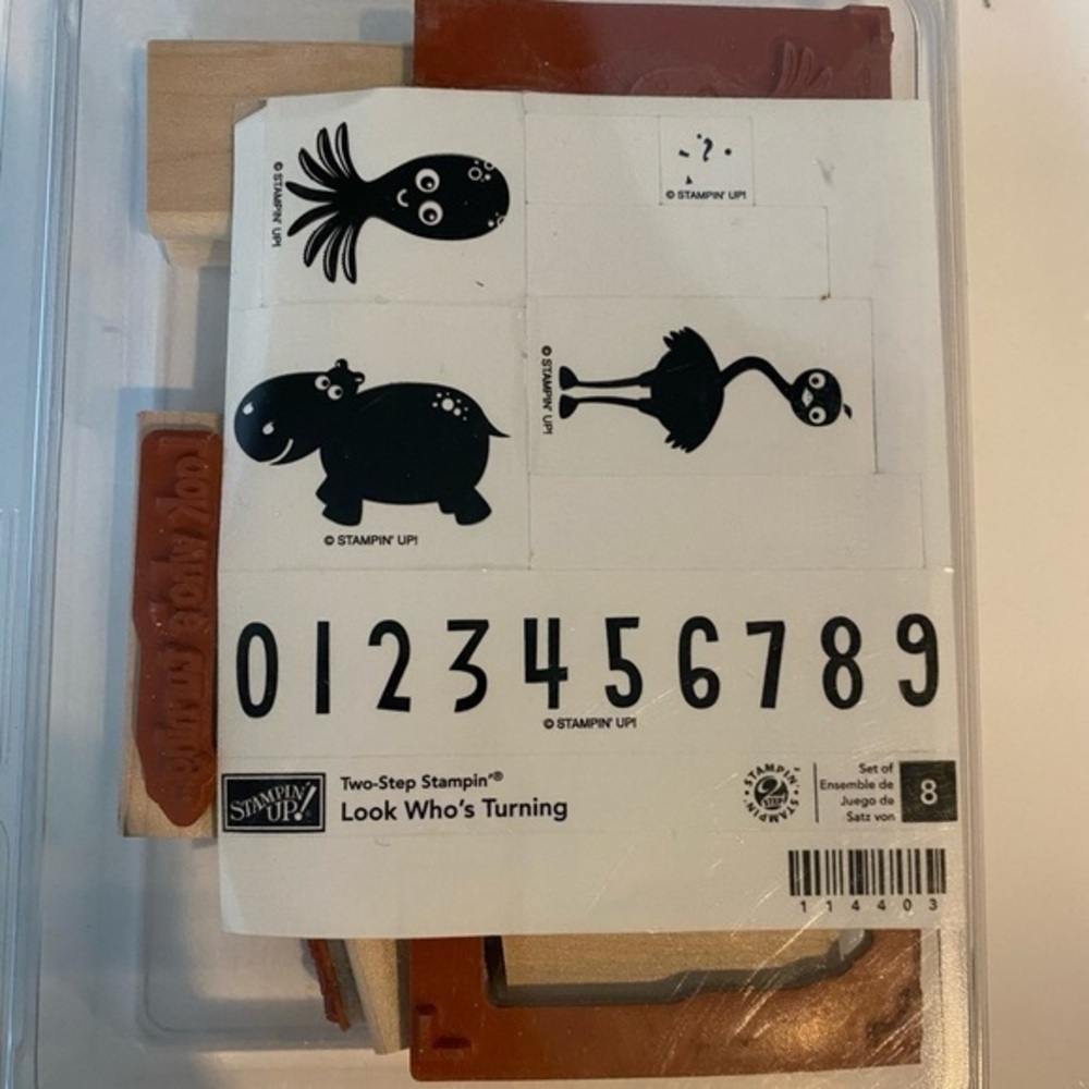 STAMPIN UP RETIRED STAMP SET LOOK WHO’S TURNING